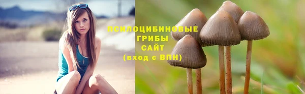 мяу мяу мука Краснотурьинск