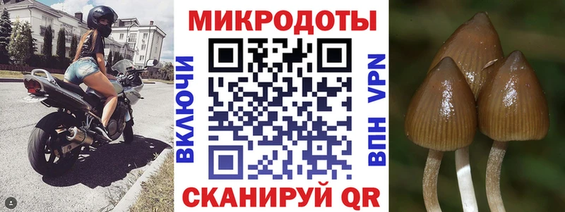 Галлюциногенные грибы Cubensis Оренбург